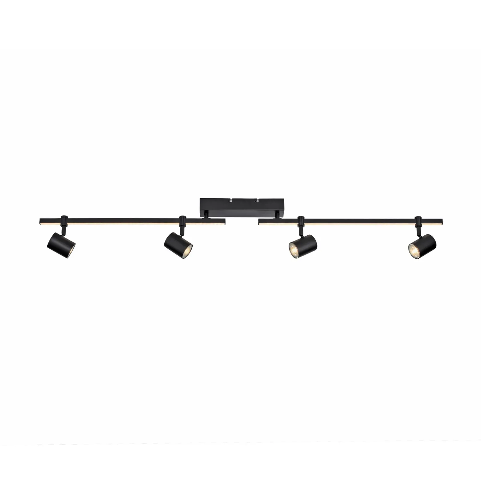 Paul Neuhaus Downlight LED Barik, 120 cm, regulable