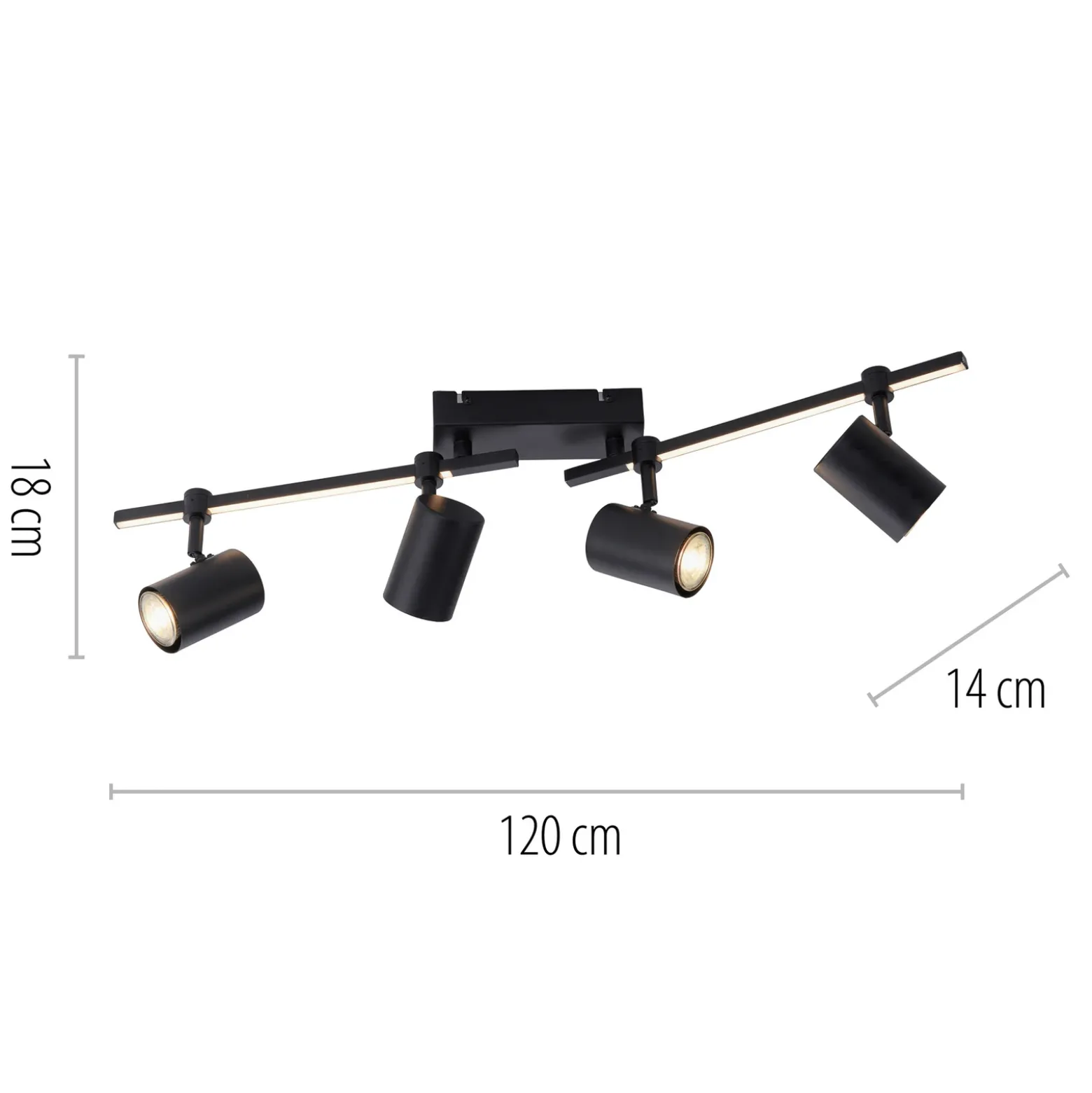 Paul Neuhaus Downlight LED Barik, 120 cm, regulable
