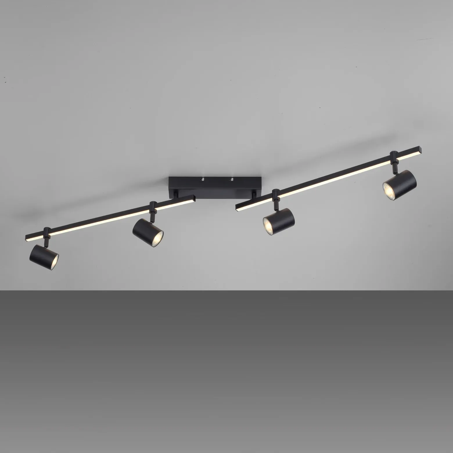 Paul Neuhaus Downlight LED Barik, 120 cm, regulable
