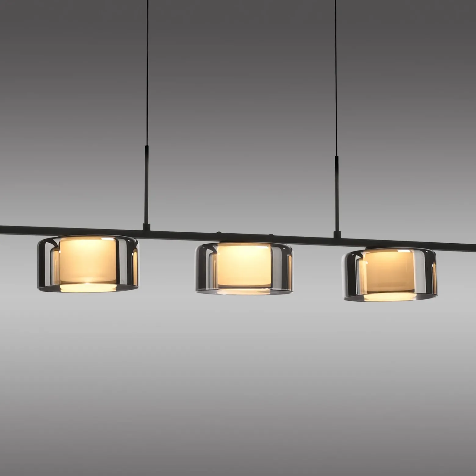 Paul Neuhaus lámpara colgante LED Rika, 119 cm, cristal, atenuable
