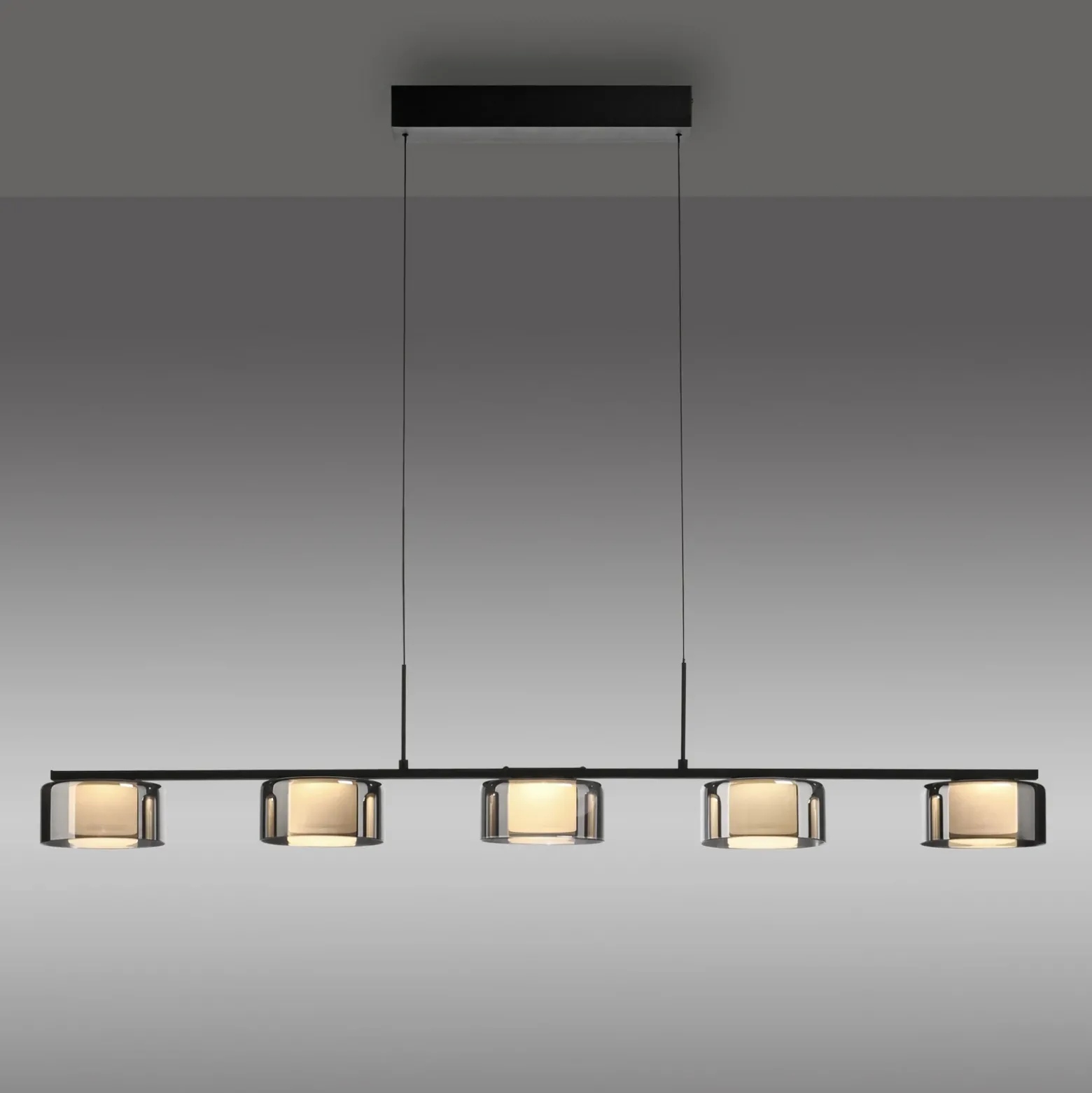 Paul Neuhaus lámpara colgante LED Rika, 119 cm, cristal, atenuable