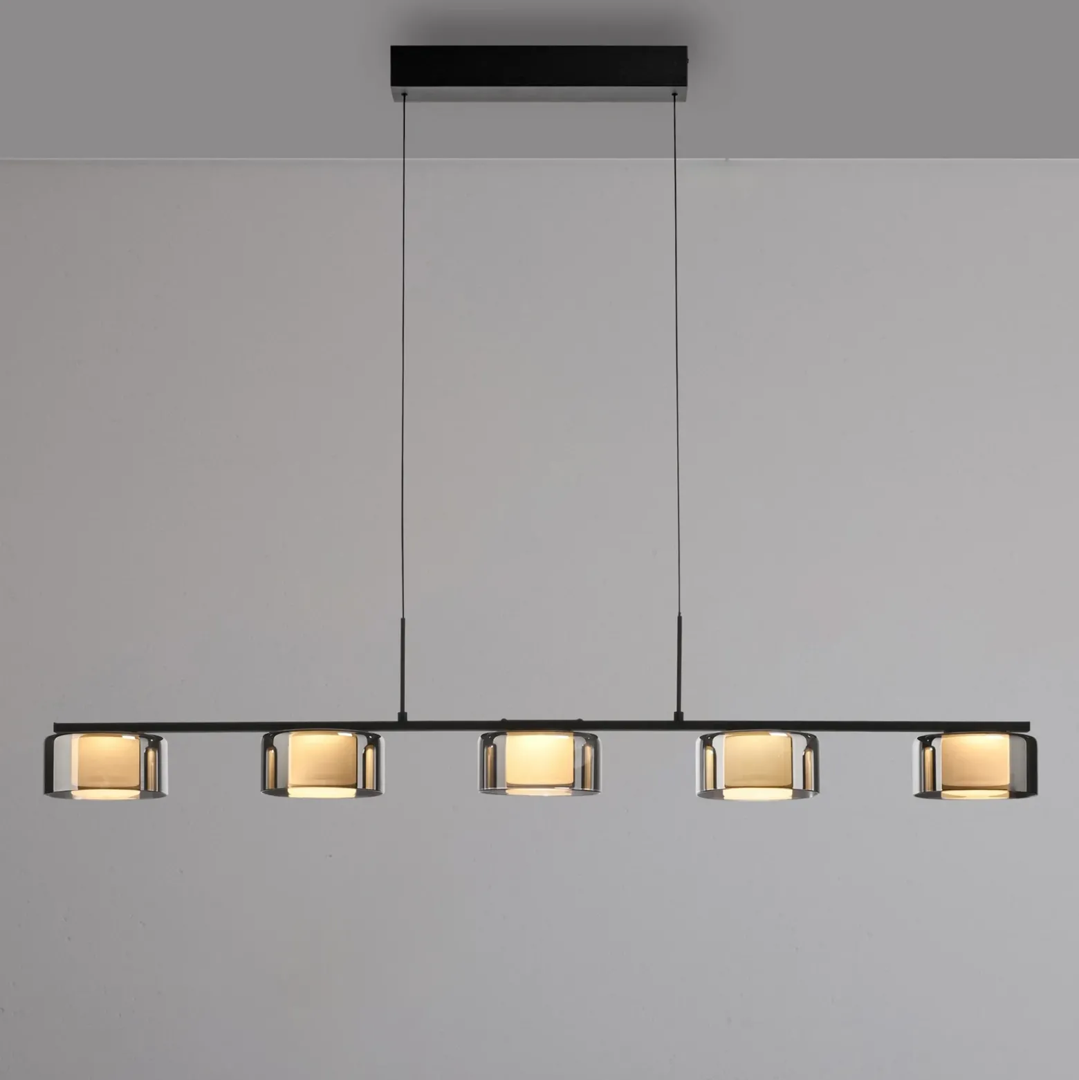 Paul Neuhaus lámpara colgante LED Rika, 119 cm, cristal, atenuable