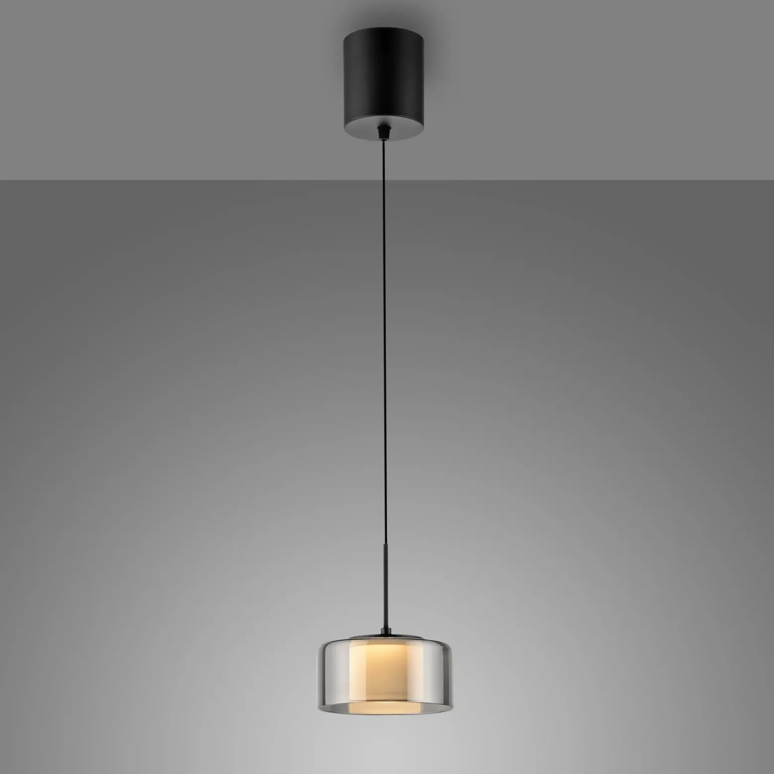 Paul Neuhaus lámpara colgante LED Rika, Ø 15 cm, cristal, atenuable