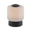Paul Neuhaus Lámpara de mesa LED Bota, antracita, cristal, atenuable