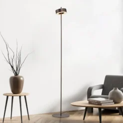 Paul Neuhaus Lámpara de pie LED inteligente Q-Rotate marrón oscuro 140 cm