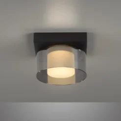 Paul Neuhaus Lámpara LED de techo Rika, Ø 15 cm, cristal, atenuable