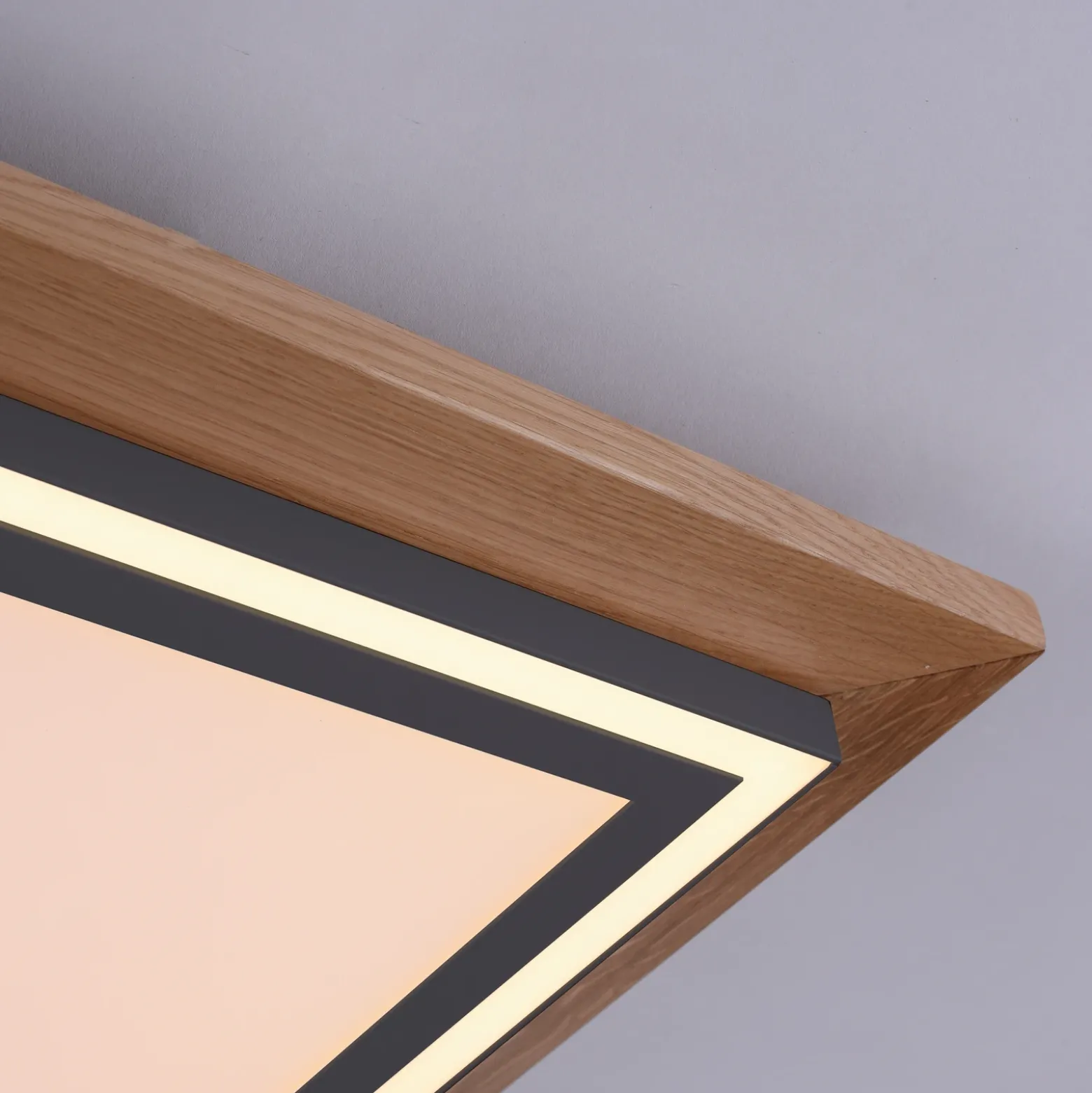 Paul Neuhaus Palma plafón LED CCT alargado