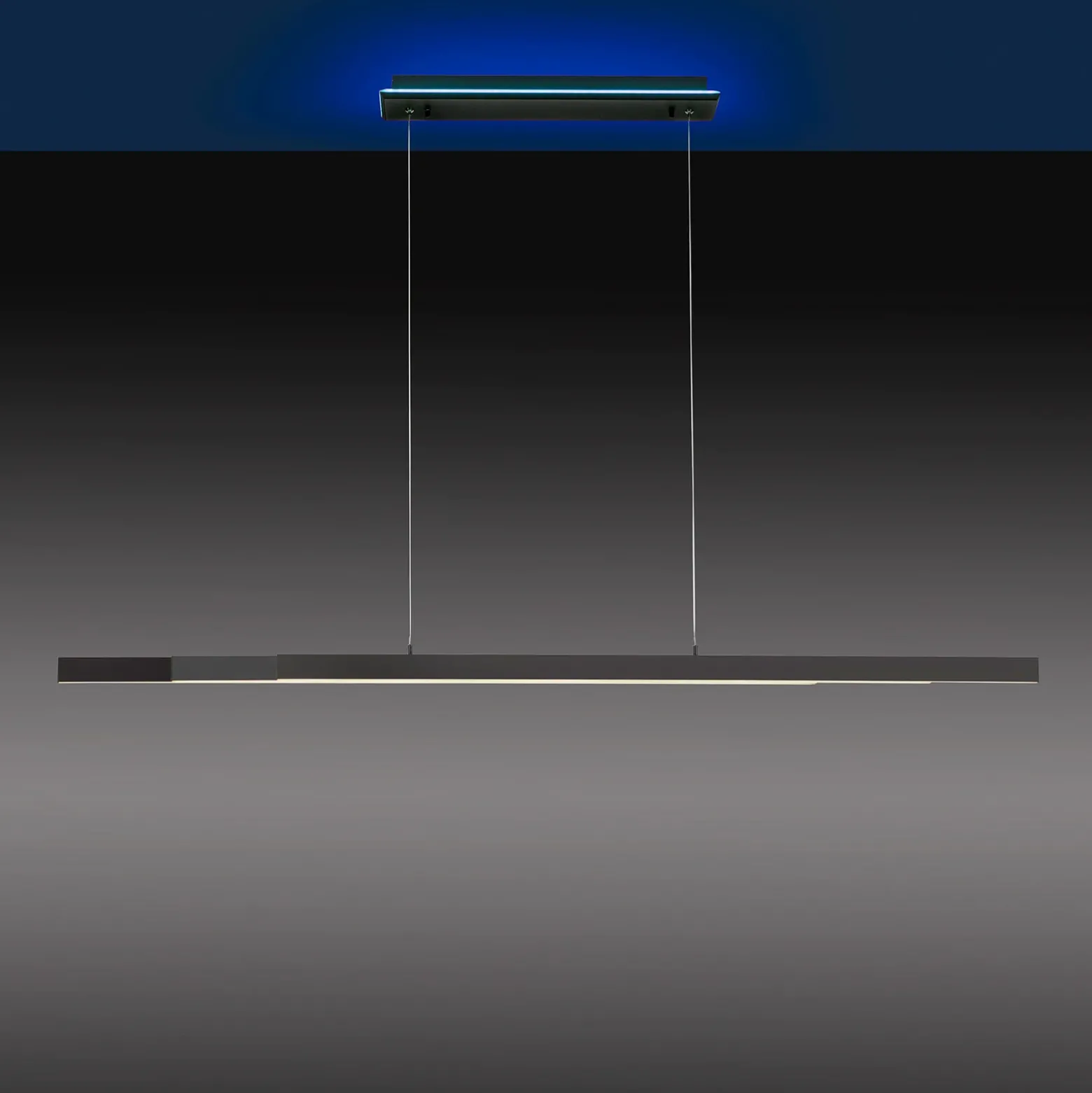 Paul Neuhaus Q-ARIAN colgante LED, antracita
