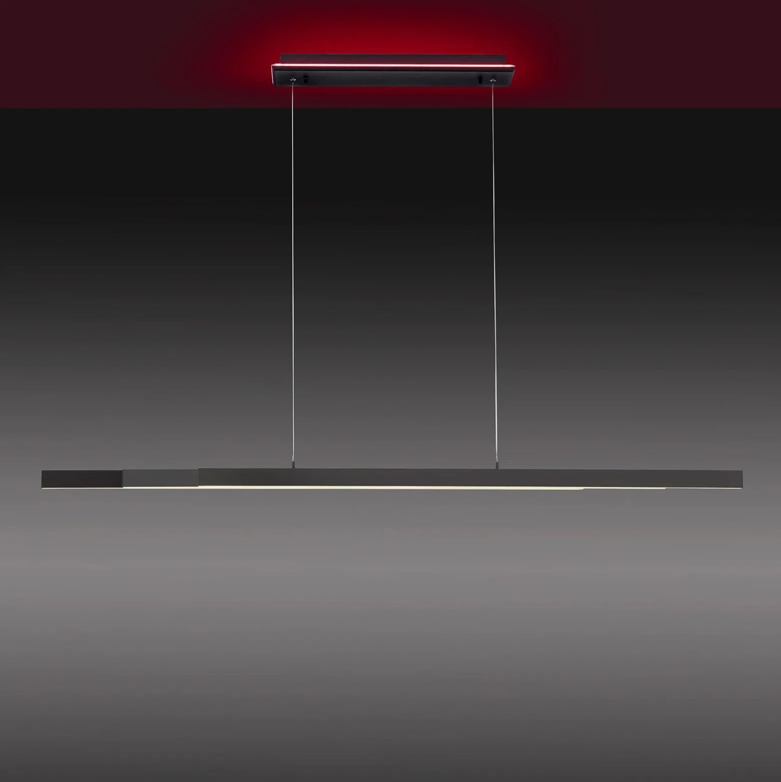 Paul Neuhaus Q-ARIAN colgante LED, antracita
