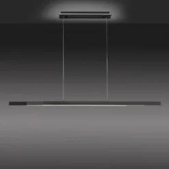 Paul Neuhaus Q-ARIAN colgante LED, antracita