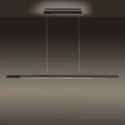 Paul Neuhaus Q-ARIAN colgante LED, antracita