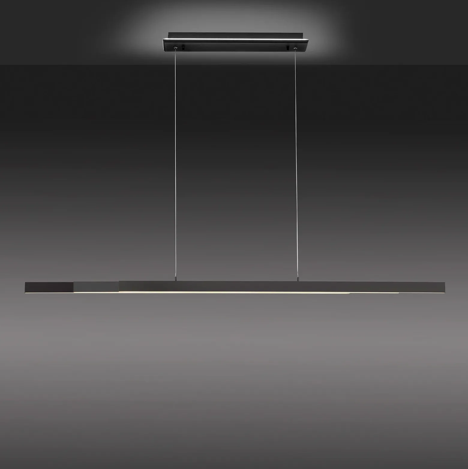 Paul Neuhaus Q-ARIAN colgante LED, antracita