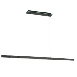 Paul Neuhaus Q-ARIAN colgante LED, antracita