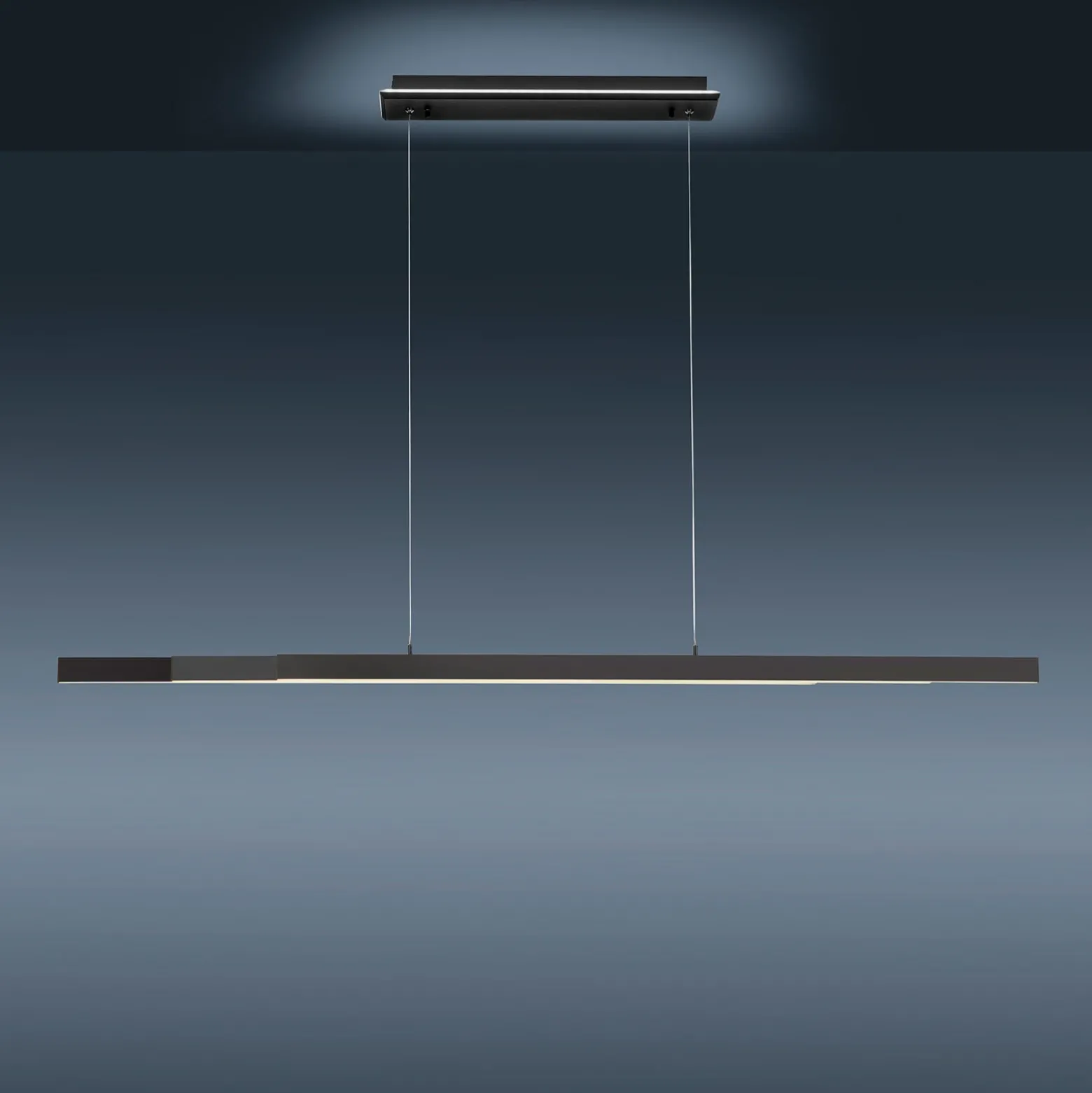 Paul Neuhaus Q-ARIAN colgante LED, antracita