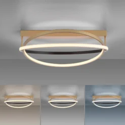 Paul Neuhaus Q-Beluga plafón LED, latón