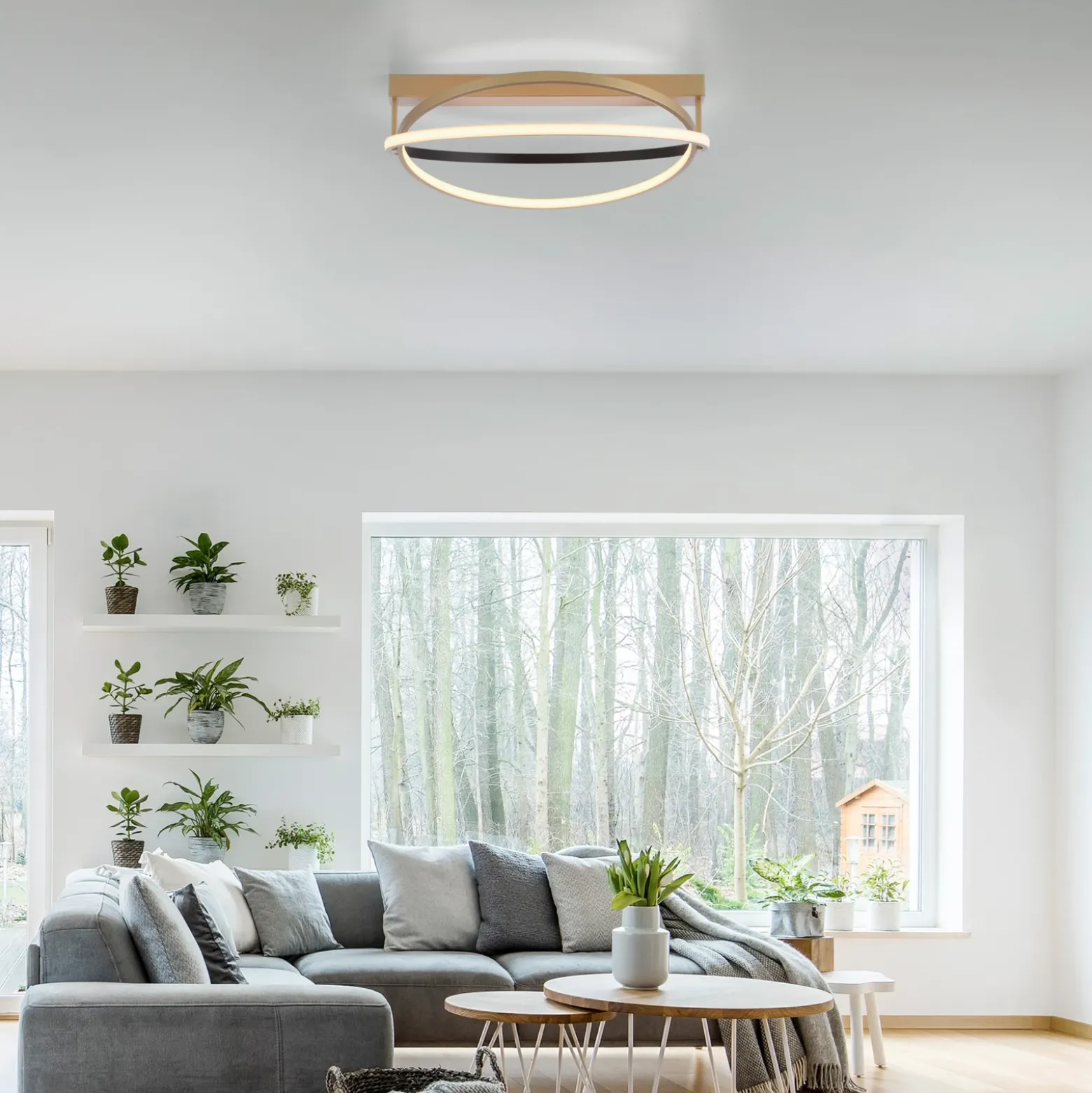 Paul Neuhaus Q-Beluga plafón LED, latón