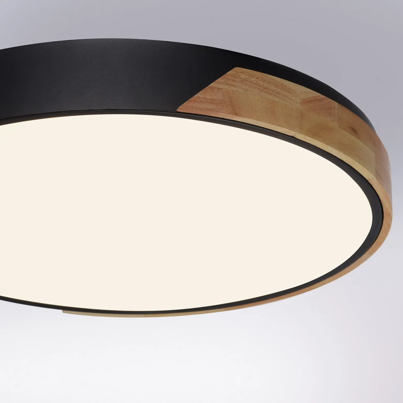 Paul Neuhaus Q-BILA plafón LED, negro/roble
