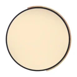 Paul Neuhaus Q-BILA plafón LED, negro/roble