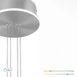 Paul Neuhaus Q-ETIENNE colgante LED, 1 luz