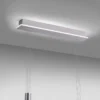 Paul Neuhaus Q-ETIENNE colgante LED, 2 luces