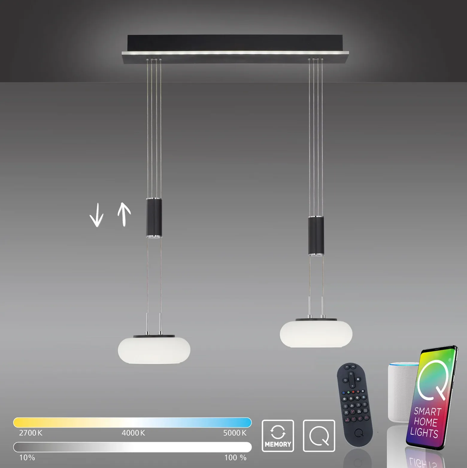 Paul Neuhaus Q-ETIENNE colgante LED 2 luces, negro