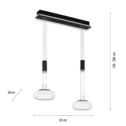 Paul Neuhaus Q-ETIENNE colgante LED 2 luces, negro