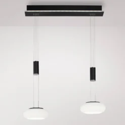 Paul Neuhaus Q-ETIENNE colgante LED 2 luces, negro
