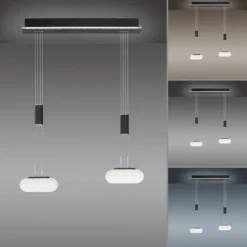Paul Neuhaus Q-ETIENNE colgante LED 2 luces, negro