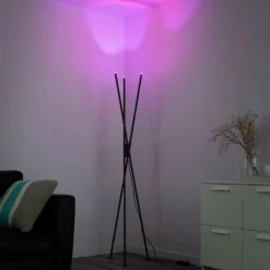 Paul Neuhaus Q-PETER lámpara de pie LED, RGB/CCT
