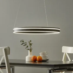 Paul Neuhaus Q-VITO colgante LED 59cm antracita