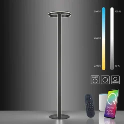Paul Neuhaus Q-VITO lámpara de pie LED, antracita