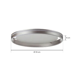 Paul Neuhaus Q-VITO plafón LED 59cm acero
