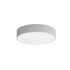 Plafón Cleo 400, IP54, Ø 40 cm gris