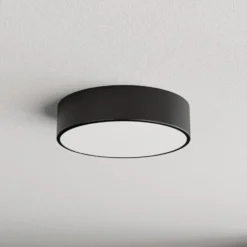 Plafón Cleo 300, IP54, Ø 30 cm negro