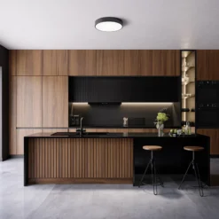 Plafón Cleo 400, IP54, Ø 40 cm negro