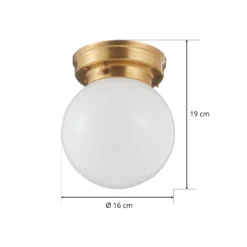 Plafón D99-115 op B con tulipa de vidrio opalino