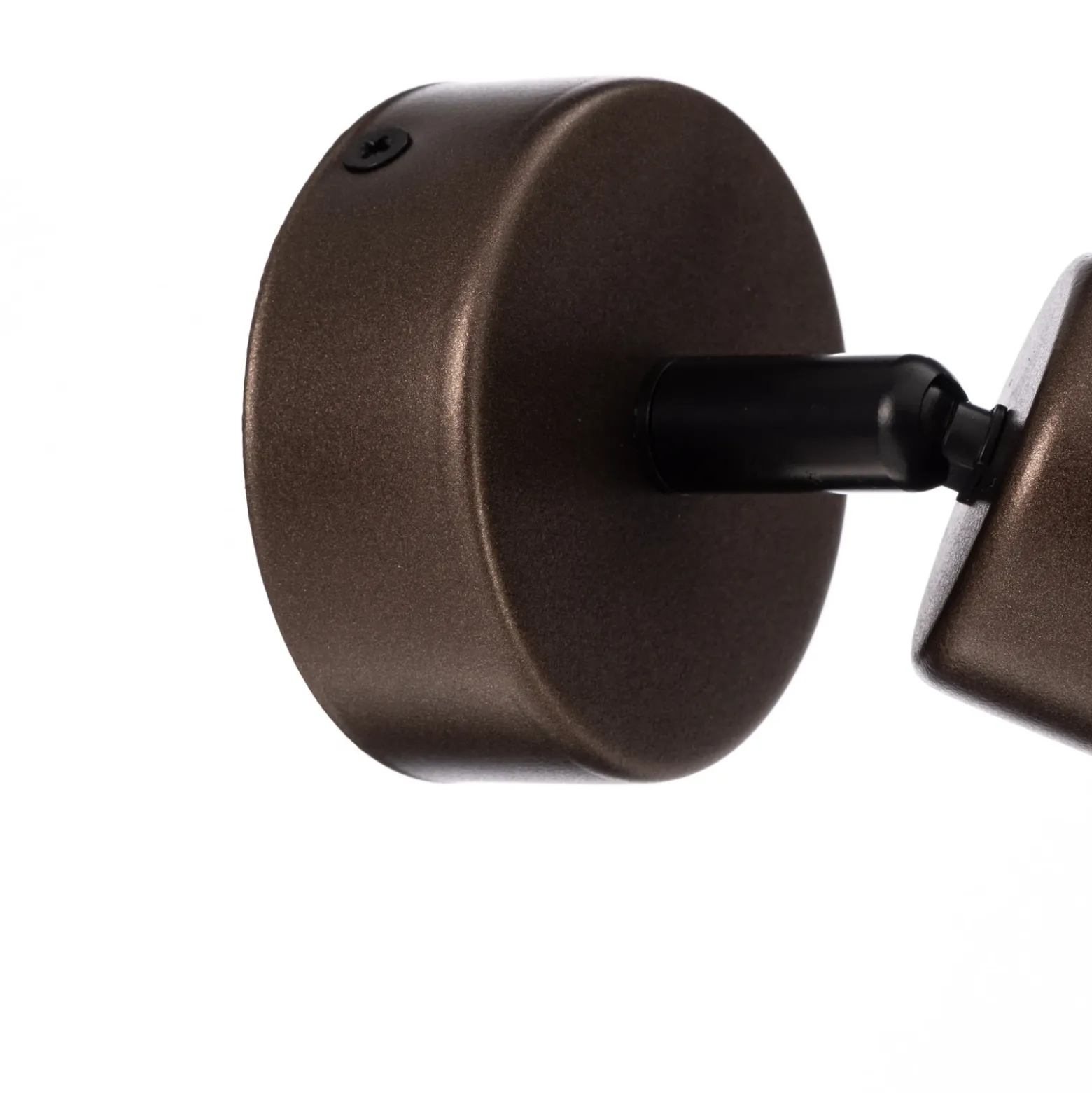 Plafón downlight Top, regulable, marrón, 1 luz