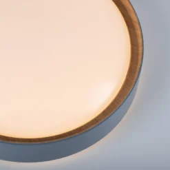 Plafón LED Emilia, atenuable en tres niveles, gris