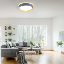 Plafón LED Emilia, atenuable en tres niveles, gris