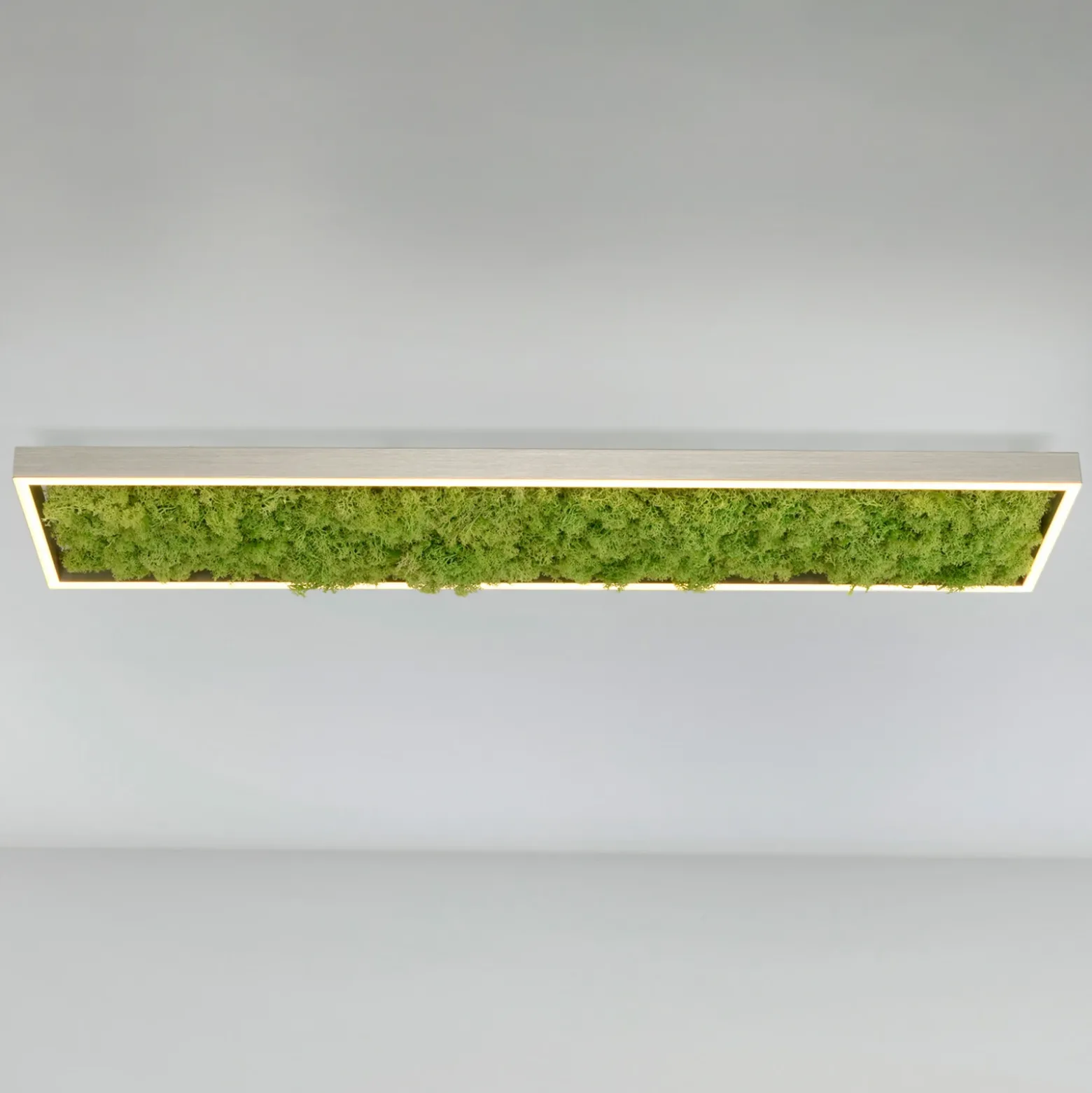 Plafón LED «Gerda Knut» con musgo natural