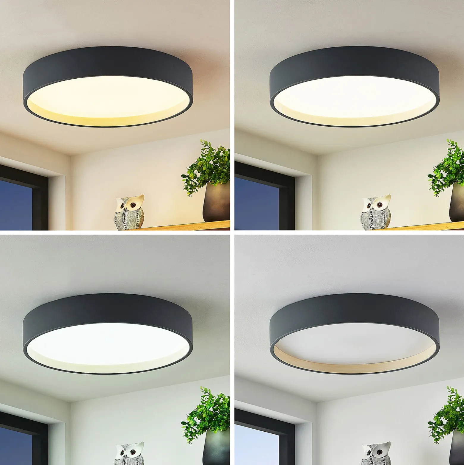 Plafón LED Lindby Todor, 50 cm, antracita, CCT, madera