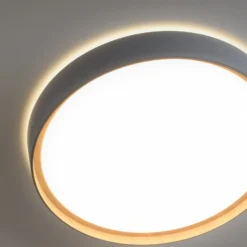 Plafón LED Q-EMILIA de Paul Neuhaus, gris/madera