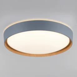 Plafón LED Q-EMILIA de Paul Neuhaus, gris/madera