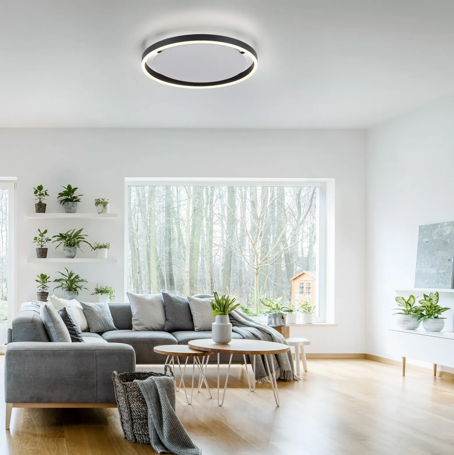 Plafón LED Ritus, Ø 39,3cm, antracita