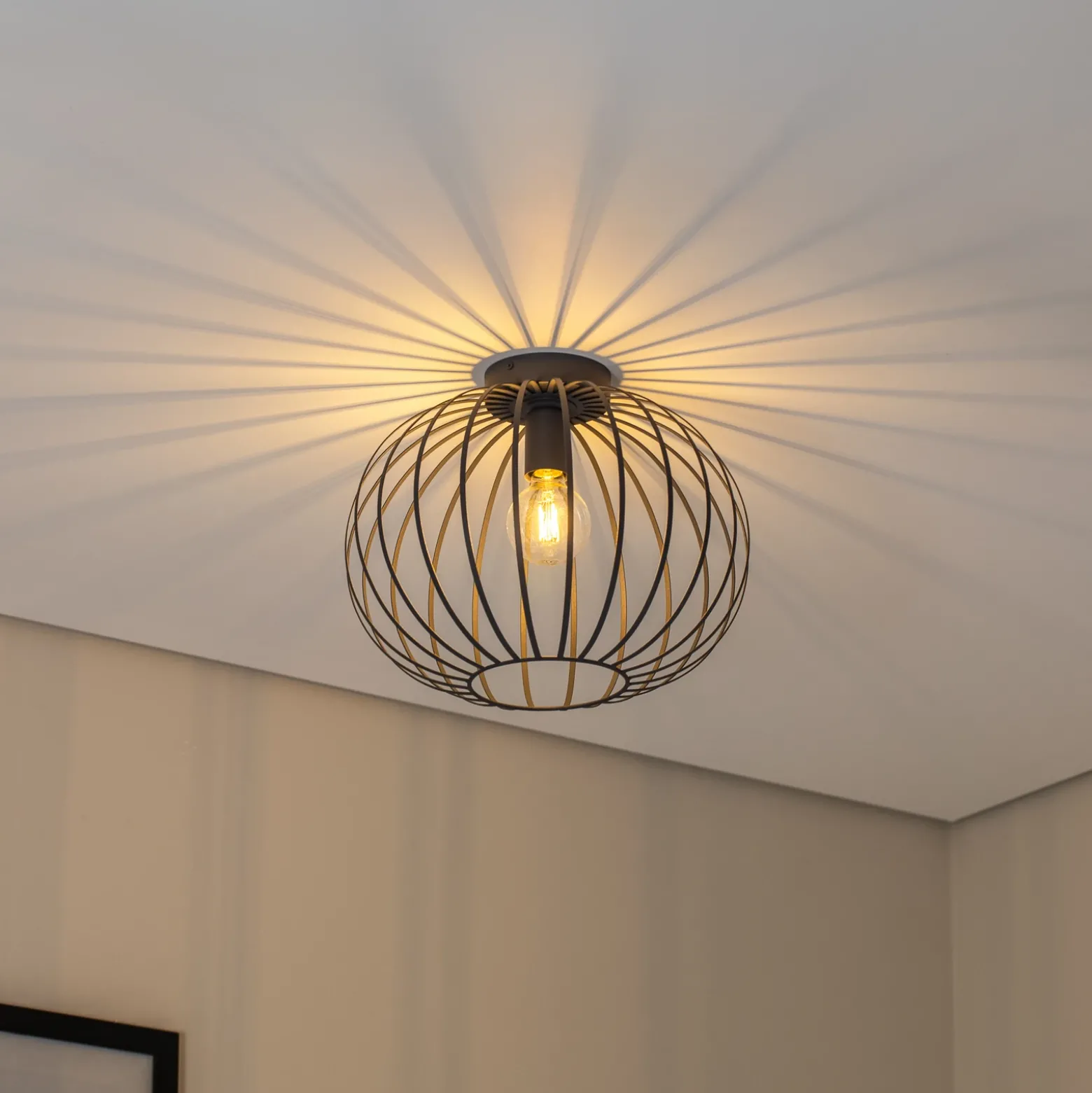 Plafón Valor, antracita, acero, Ø 40 cm