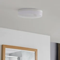 Prios Wynion Lámpara de techo LED CCT Interruptor DIP 30cm
