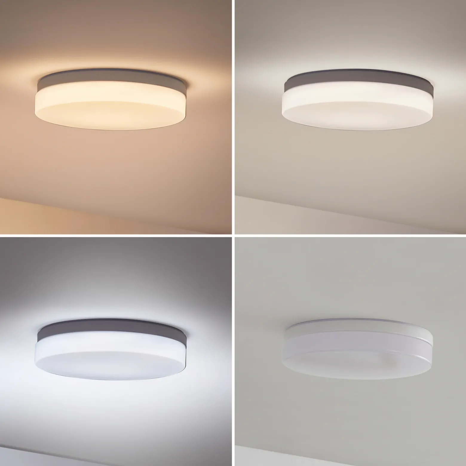 Prios Wynion Lámpara de techo LED CCT Interruptor DIP 30cm