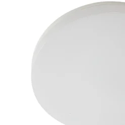 Prios Wynion Lámpara de techo LED CCT Interruptor DIP 30cm