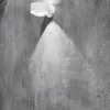 Puk Maxx Wall, LED, lentes transparentes, blanco mate