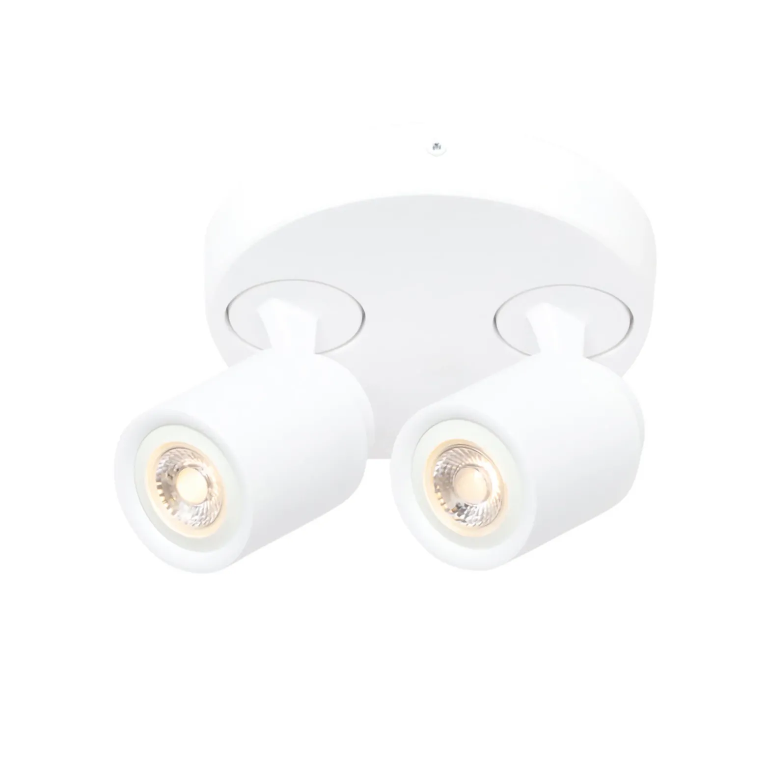 Razza downlight de techo, blanco, Ø 26,5 cm, 2 luces, metal